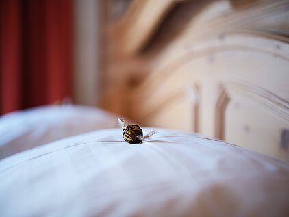 Praline in Folie eingewickelt, liegt auf dem Kopfkissen