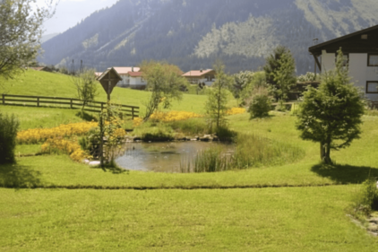 Blick über grüne Wiesen. In der Mitte ein kleiner Teich